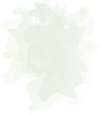 Niebla de Decoración