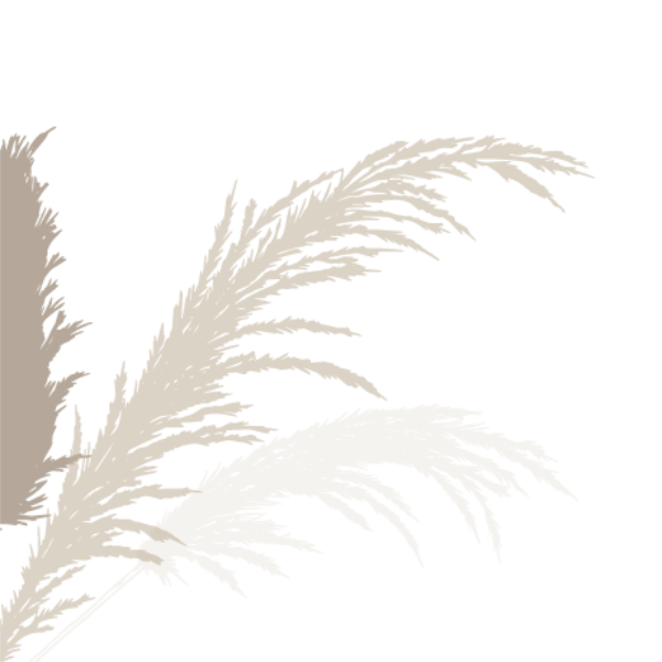 Decoración