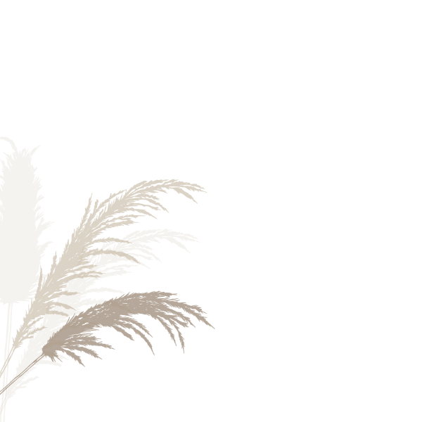 Decoración
